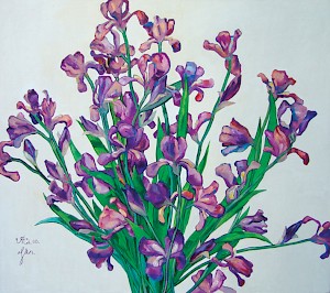 Purple Flowers