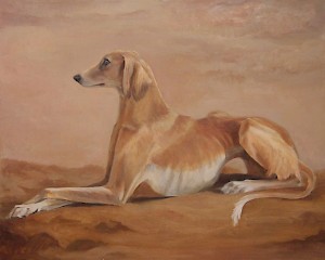 Dog by Nikolay Didenko
