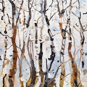 Snowing Birch Trees
