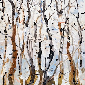 Snowing Birch Trees